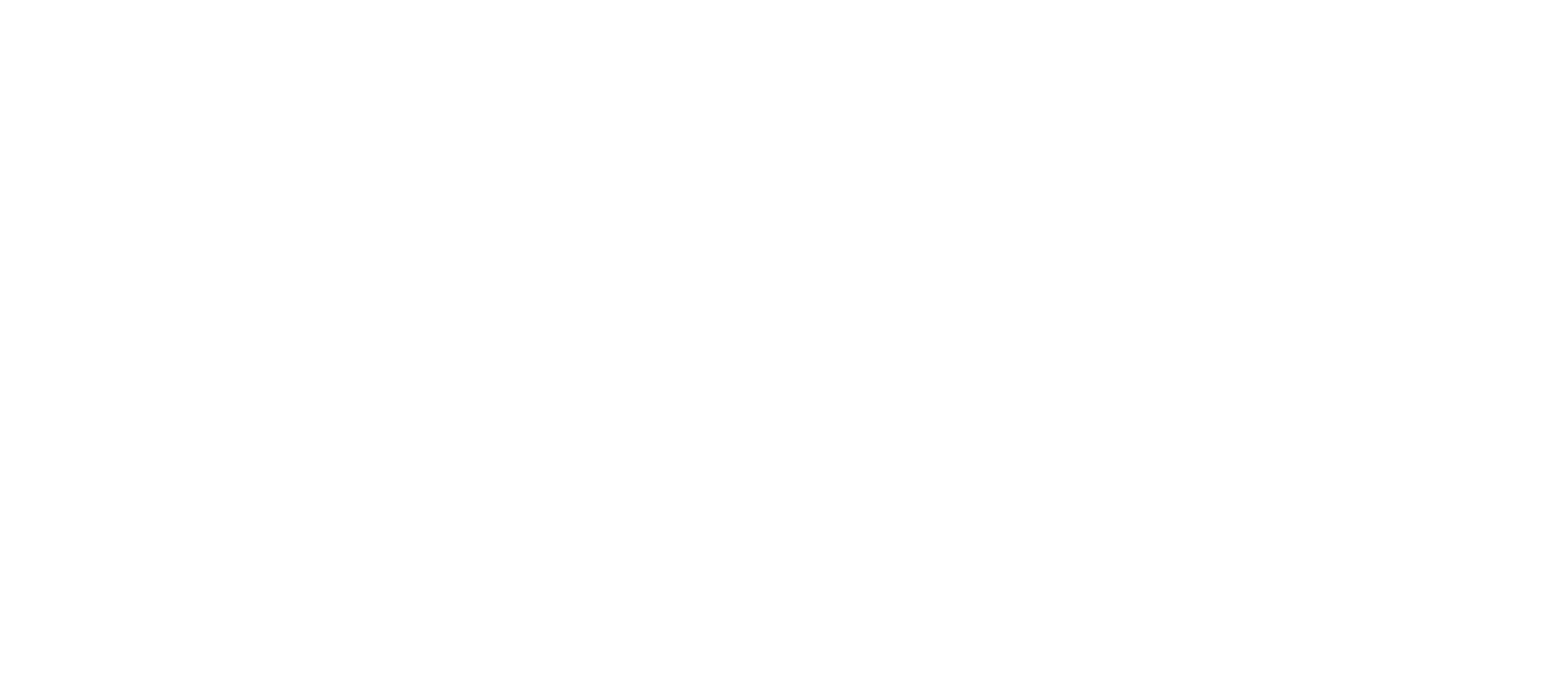 Logo text reading 'Nanda Lite' in white serif font on a transparent background.